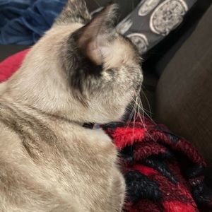 Meet your Posher, Bethiah